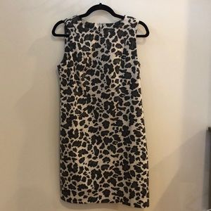 Leopard print Vince Camuto dress